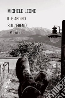 Il giardino sull'eremo libro di Leone Michele