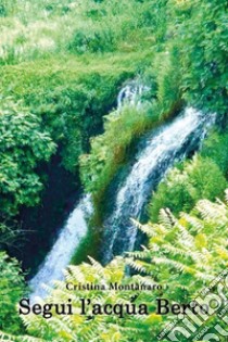 Segui l'acqua Berto libro di Montanaro Cristina