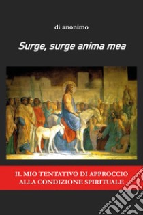 Surge, surge anima mea. Il mio tentativo di approccio alla condizione spirituale libro di Anonimo