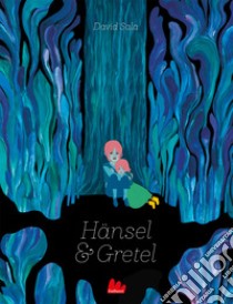 Hänsel e Gretel. Ediz. a colori libro di Sala David