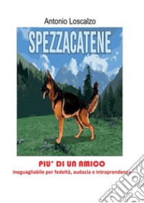 Spezzacatene libro di Loscalzo Antonio