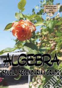 Algebra. Scuola secondaria di I grado. Sostegno libro di Colzi Claudia