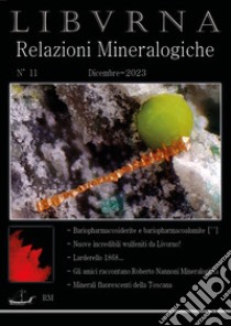 Relazioni mineralogiche. Libvrna. Vol. 11 libro di Bonifazi Marco