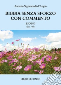 Bibbia senza sforzo con commento. Esodo (cc. 40). Vol. 2 libro di D'Angiò Antonio Sigismondi