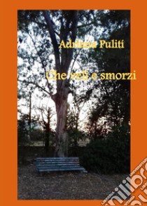 Che veli e smorzi libro di Puliti Adriana