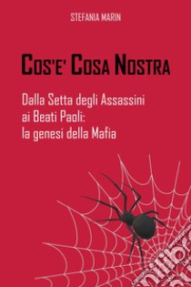 Cos'è Cosa Nostra. Dalla setta degli assassini ai beati paoli: la genesi della mafia libro di Marin Stefania