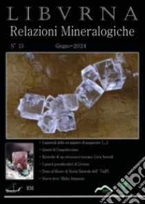 Relazioni mineralogiche. Libvrna. Vol. 13 libro di Bonifazi Marco