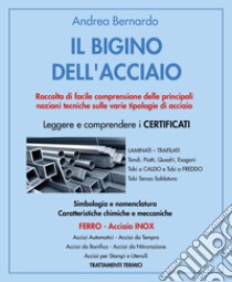 Il bigino dell'acciaio. Raccolta di facile comprensione delle principali nozioni tecniche sulle varie tipologie di acciaio libro di Bernardo Andrea