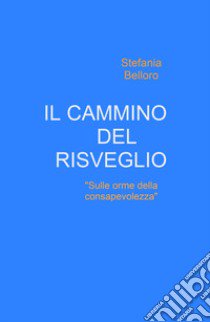 Il cammino del risveglio. Sulle orme della consapevolezza libro di Belloro Stefania