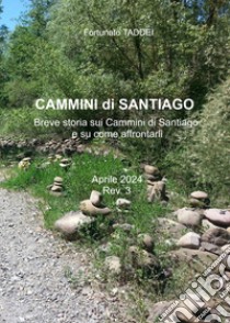 Cammini di Santiago. Breve storia sui cammini di Santiago e su come affrontarli libro di Taddei Fortunato