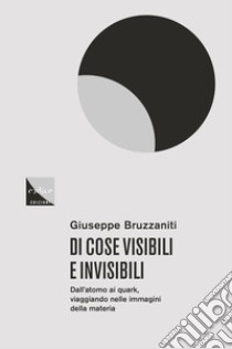 Di cose visibili e invisibili. Dall'atomo al quark, viaggio nelle immagini della materia libro di Bruzzaniti Giuseppe