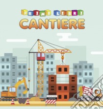 Il cantiere libro