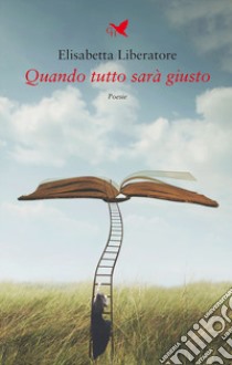 Quando tutto sarà giusto libro di Liberatore Elisabetta