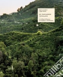 Il paesaggio tutelato. Le colline del Prosecco di Conegliano e Valdobbiadene. Ediz. illustrata libro di Lamberti Ginevra; Romano Filippo