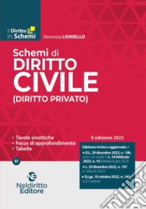 Schemi di diritto civile (diritto privato) libro di Lioniello Vincenza