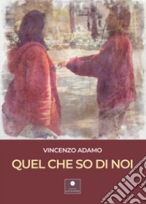 Quel che so di noi libro di Adamo Vincenzo