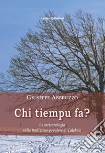 Chi tiempu fa? La meteorologia nella tradizione popolare di Calabria libro di Abbruzzo Giuseppe