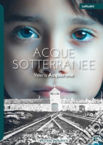 Acque sotterranee libro di Acquarone Valeria