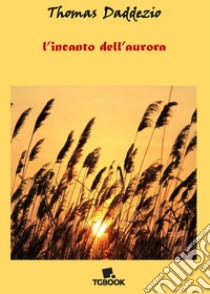 L'incanto dell'aurora libro di Daddezio Thomas