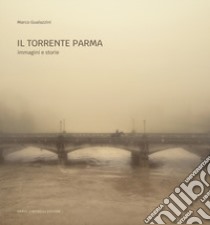 Il torrente Parma. Immagini e storie. Ediz. illustrata libro di Gualazzini Marco