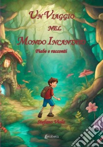 Un viaggio nel mondo incantato. Fiabe e racconti. Ediz. illustrata libro di Viola Stefano