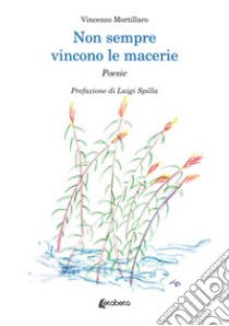 Non sempre vincono le macerie libro di Mortillaro Vincenzo