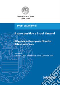 Il puro positivo e i suoi dintorni. Riflessioni sulla proposta filosofica di Luigi Vero Tarca libro di Cillo C. (cur.); Lucia A. (cur.); Pulli G. (cur.)