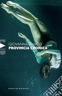 Provincia cronica libro di Amato Giovanna