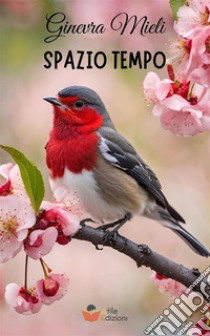 Spazio tempo libro di Mieli Ginevra