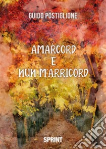 Amarcord e nun m'arricord libro di Postiglione Guido