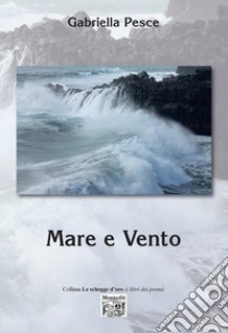 Mare e vento libro di Pesce Gabriella