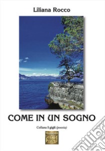 Come in un sogno libro di Rocco Liliana