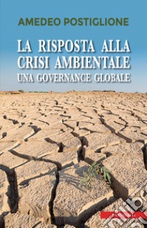 La risposta alla crisi ambientale. Una governante globale libro di Postiglione Amedeo