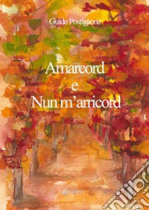 Amarcord e nun m'arricord libro di Postiglione Guido