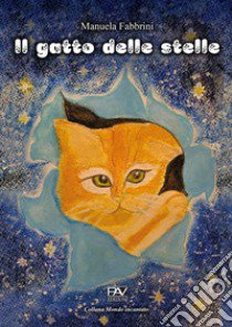 Il gatto delle stelle. Ediz. a colori libro di Fabbrini Manuela