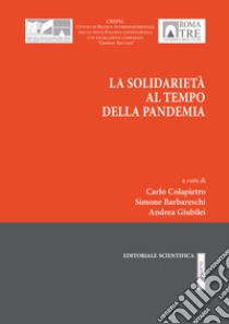 La solidarietà al tempo della pandemia libro di Colapietro C. (cur.); Barbareschi S. (cur.); Giubilei A. (cur.)