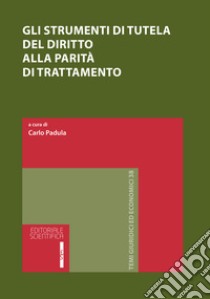 Gli strumenti di tutela del diritto alla parità di trattamento libro di Padula C. (cur.)