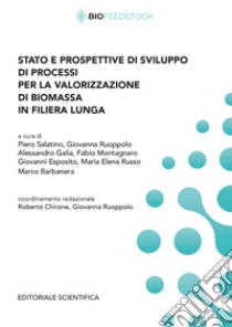 Stato e prospettive di sviluppo di processi per la valorizzazione di biomassa in filiera lunga libro