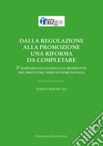 Dalla regolazione alla promozione. Una riforma da completare libro