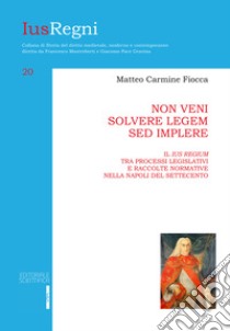 Non veni solvere legem sed implere libro di Fiocca Matteo Carmine