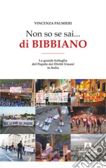 Non so se sai... di Bibbiano. La grande battaglia del popolo dei diritti umani in Italia libro di Palmieri Vincenza