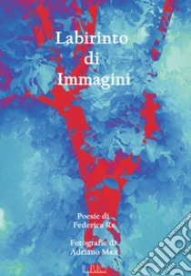 Labirinto di immagini libro di Re Federica