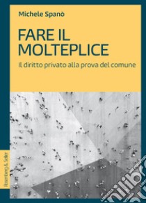 Fare il molteplice. Il diritto privato alla prova del comune libro di Spanò Michele