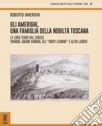 Gli Amerighi, una famiglia della nobiltà toscana. Le loro terre nel Senese. Vignoni, Bagno Vignoni, gli «Horti Leonini» e altri luoghi libro di Amerighi Roberto