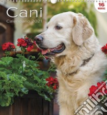 Calendario Grande Cani libro