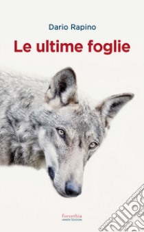 Le ultime foglie libro di Rapino Dario