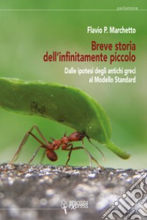 Breve storia dell'infinitamente piccolo. Vol. 1: Dalle ipotesi degli antichi greci al modello standard libro di Marchetto Flavio P.