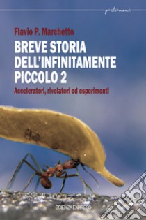 Breve storia dell'infinitamente piccolo. Vol. 2 libro di Marchetto Flavio P.