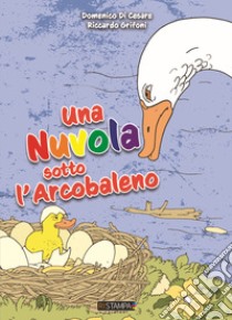 Una nuvola sotto l'arcobaleno. Ediz. a colori libro di Di Cesare Domenico; Grifoni Riccardo