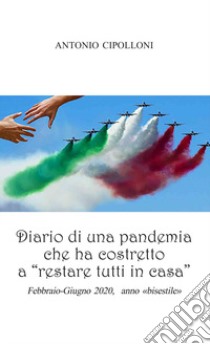 Diario di una pandemia che ha costretto a «restare tutti in casa». Febbraio-Giugno 2020, anno bisestile libro di Cipolloni Antonio